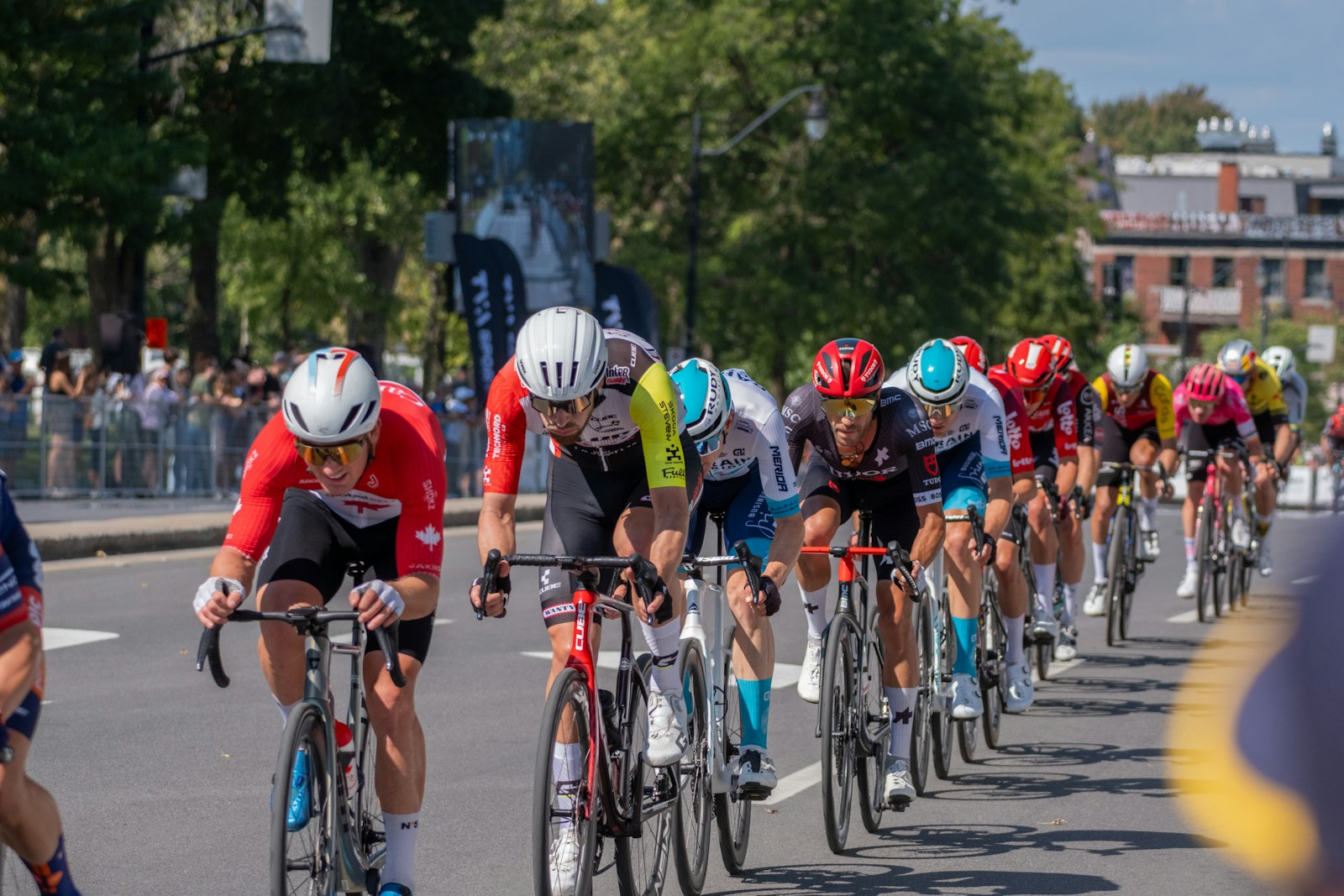 Evento 30ª Maratona Internacional de São Paulo 2026